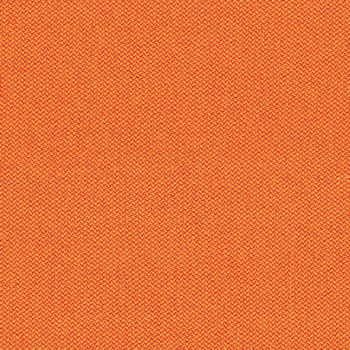 camira-era-cse05.jpg